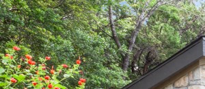 5811 Mesa Drive 1-2 Beds Apartment for Rent - Photo Gallery 3