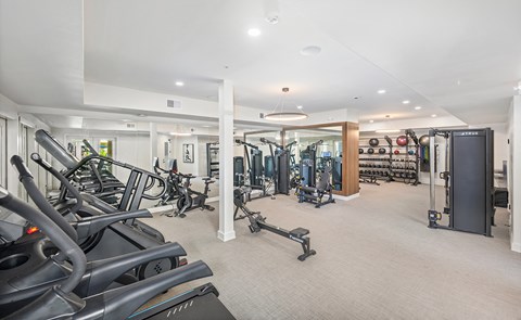 A spacious gym with a variety of equipment including treadmills, weights, and exercise machines.