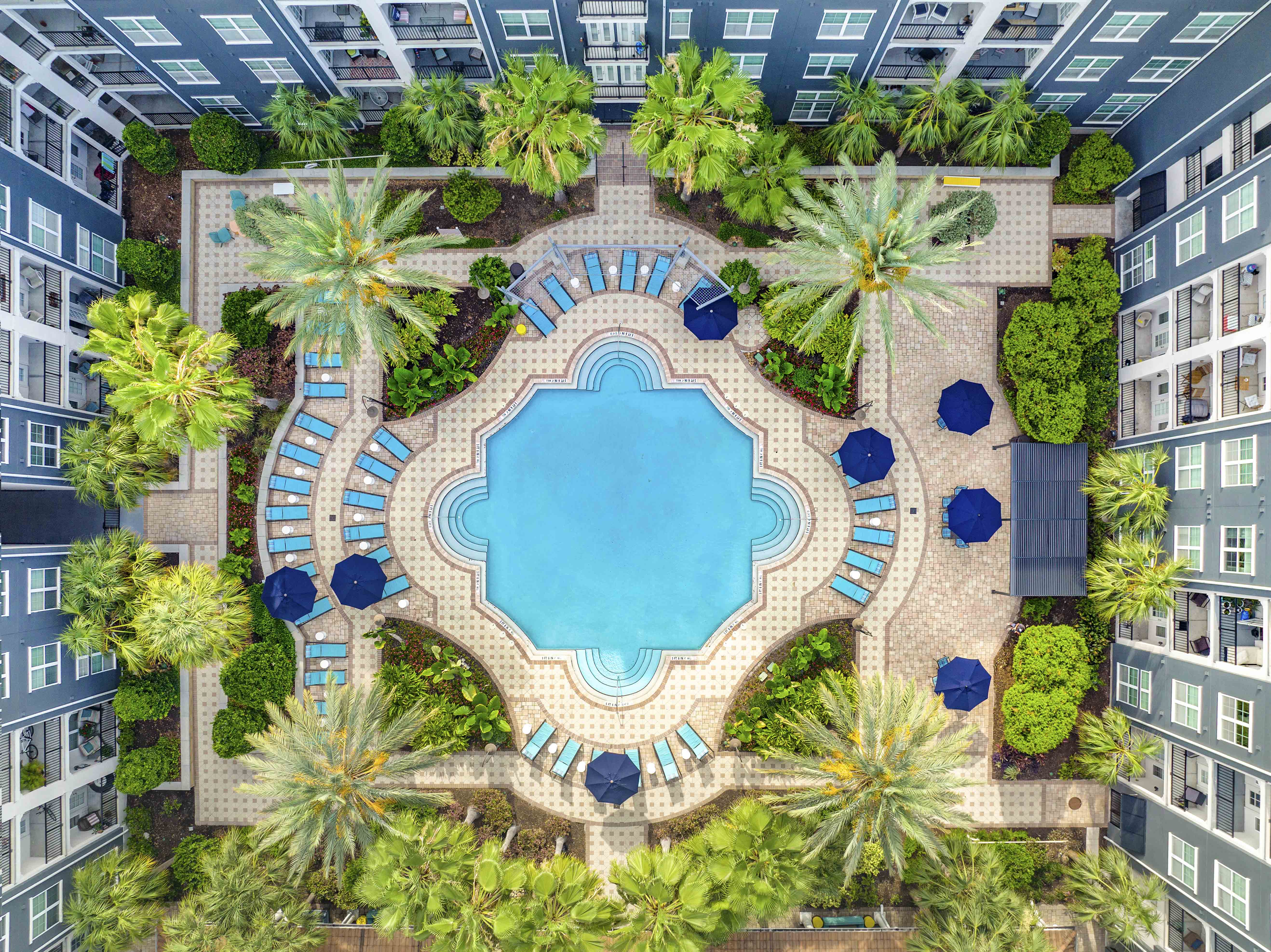 a swimming pool surrounded by palm trees and a hotel