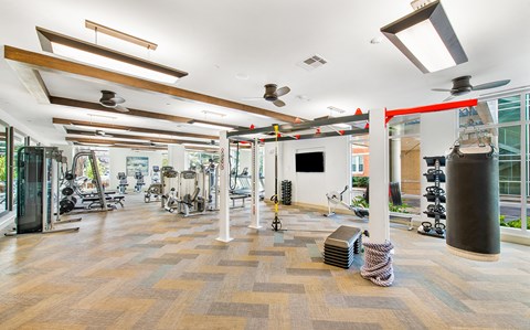 the gym at the flats at big tex apartments
