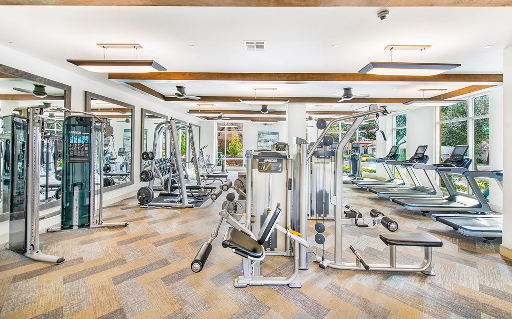 a gym with cardio machines and weights on a wooden floor