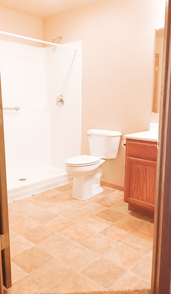 320 W 10th Street 2 Beds Apartment for Rent - Photo Gallery 3