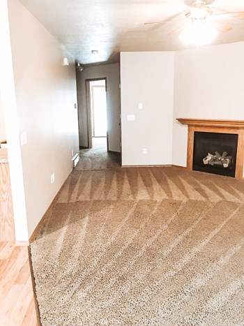 320 W 10th Street 2 Beds Apartment for Rent - Photo Gallery 2