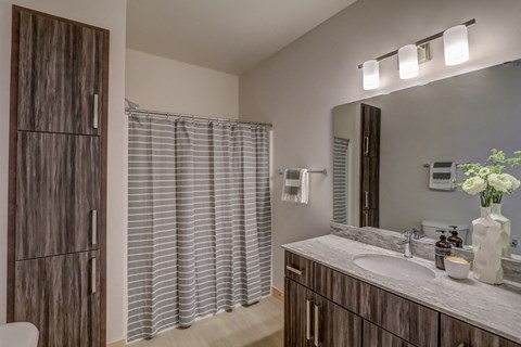 a bathroom with a shower and a sink and a mirror