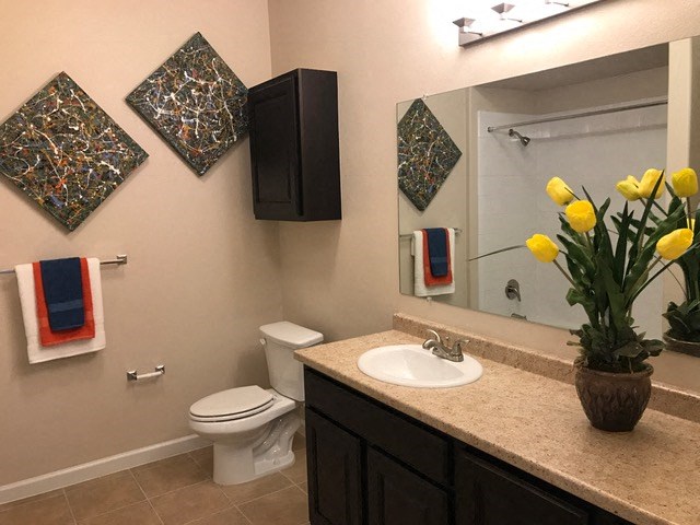 a bathroom with a sink and a toilet and a mirror