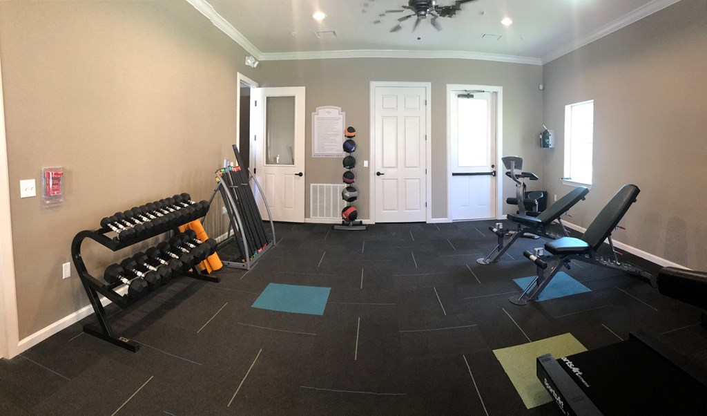 a home gym with weights and cardio equipment