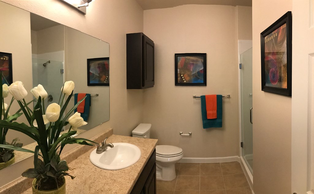 a bathroom with a sink and a toilet and a mirror