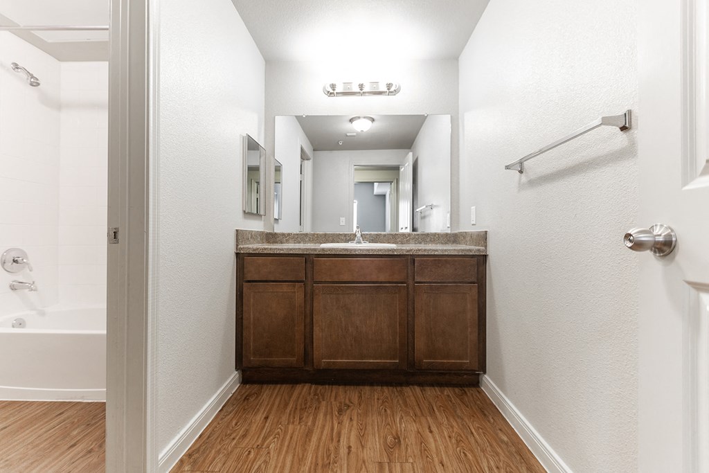 a bathroom with a sink and a mirror