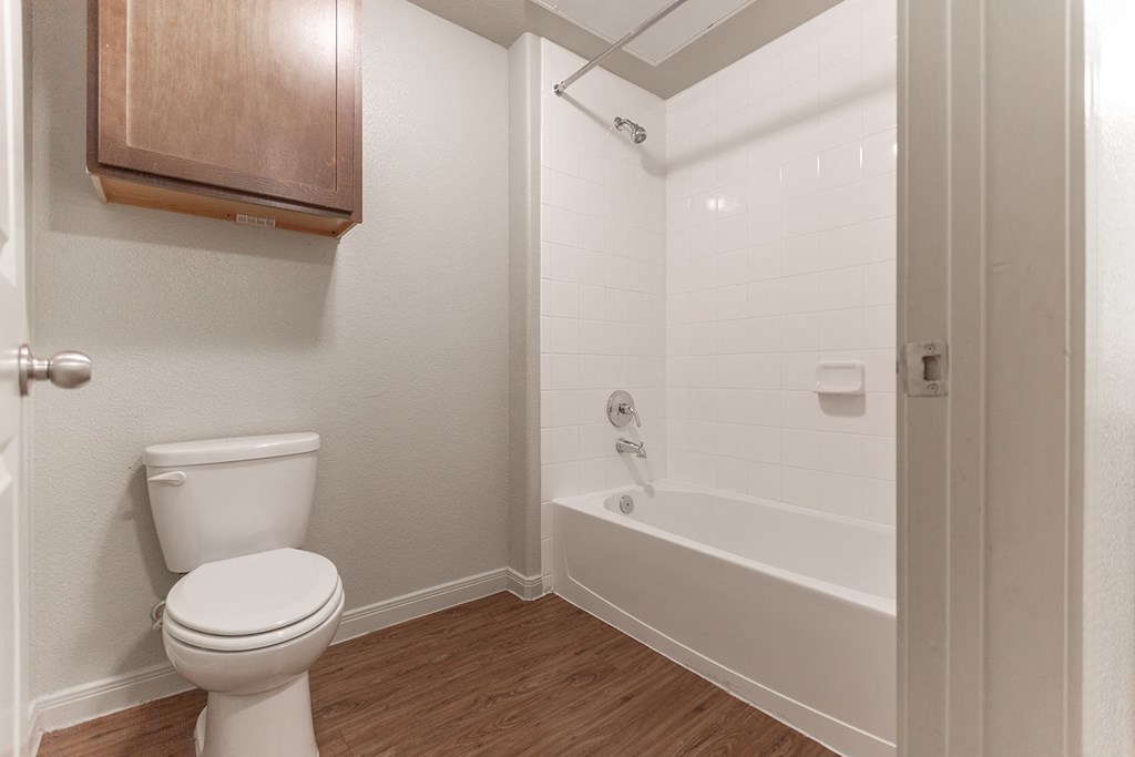a bathroom with a toilet and a bath tub