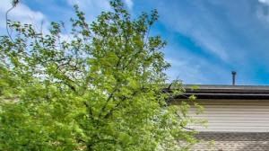 Spruce Grove Lane Exterior Building Image Spruce Grove Lane Exterior Building Image