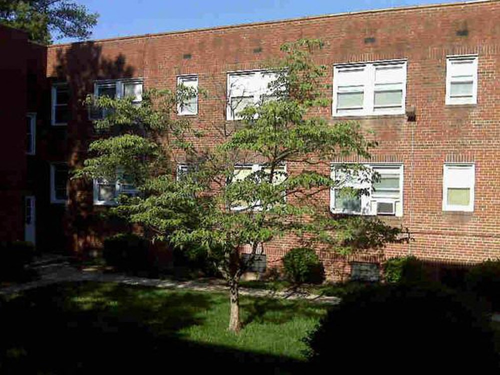 a tree in front of a brick building