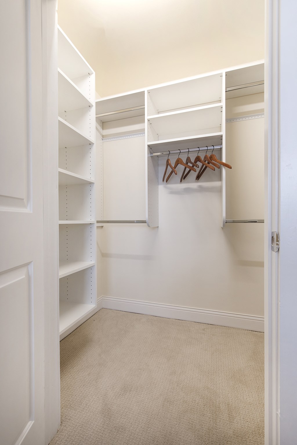 a walk in closet with white shelves and a carpet