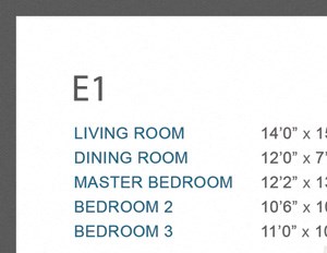 E1