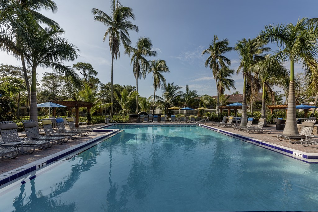 a swimming pool with chairs and palm trees