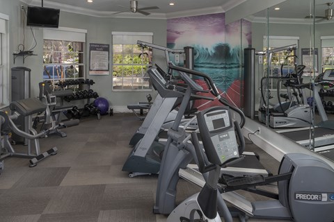 a gym with cardio equipment and weights in a building with windows