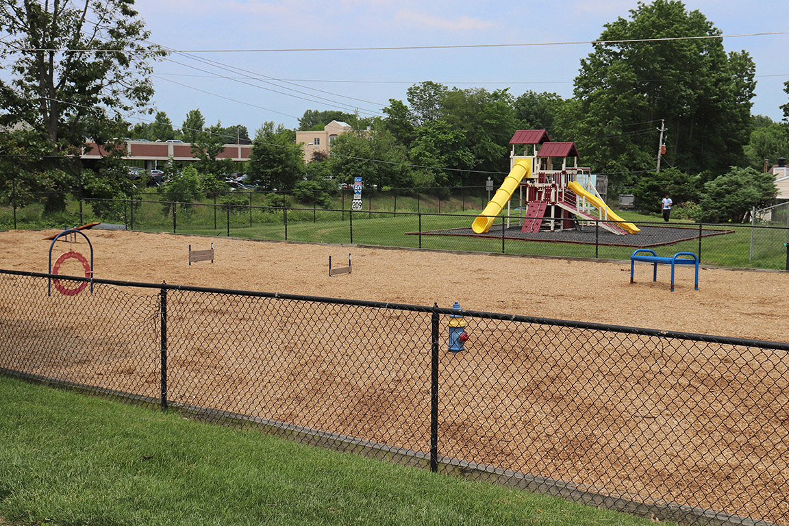 a playground at a park with a yellow slide