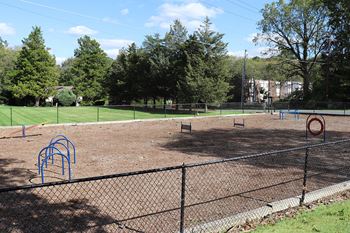 Dog park