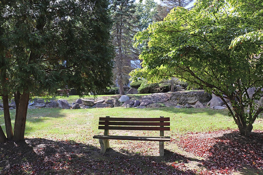 a wooden bench sitting in a park next to trees
