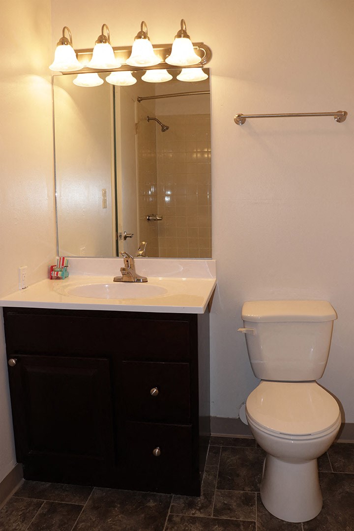 a bathroom with a toilet and a sink and a mirror