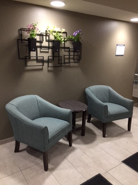 two chairs in a room with plants on the wall