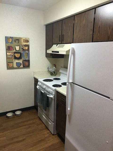 a kitchen with a stove and a refrigerator