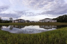 Lakes and ponds