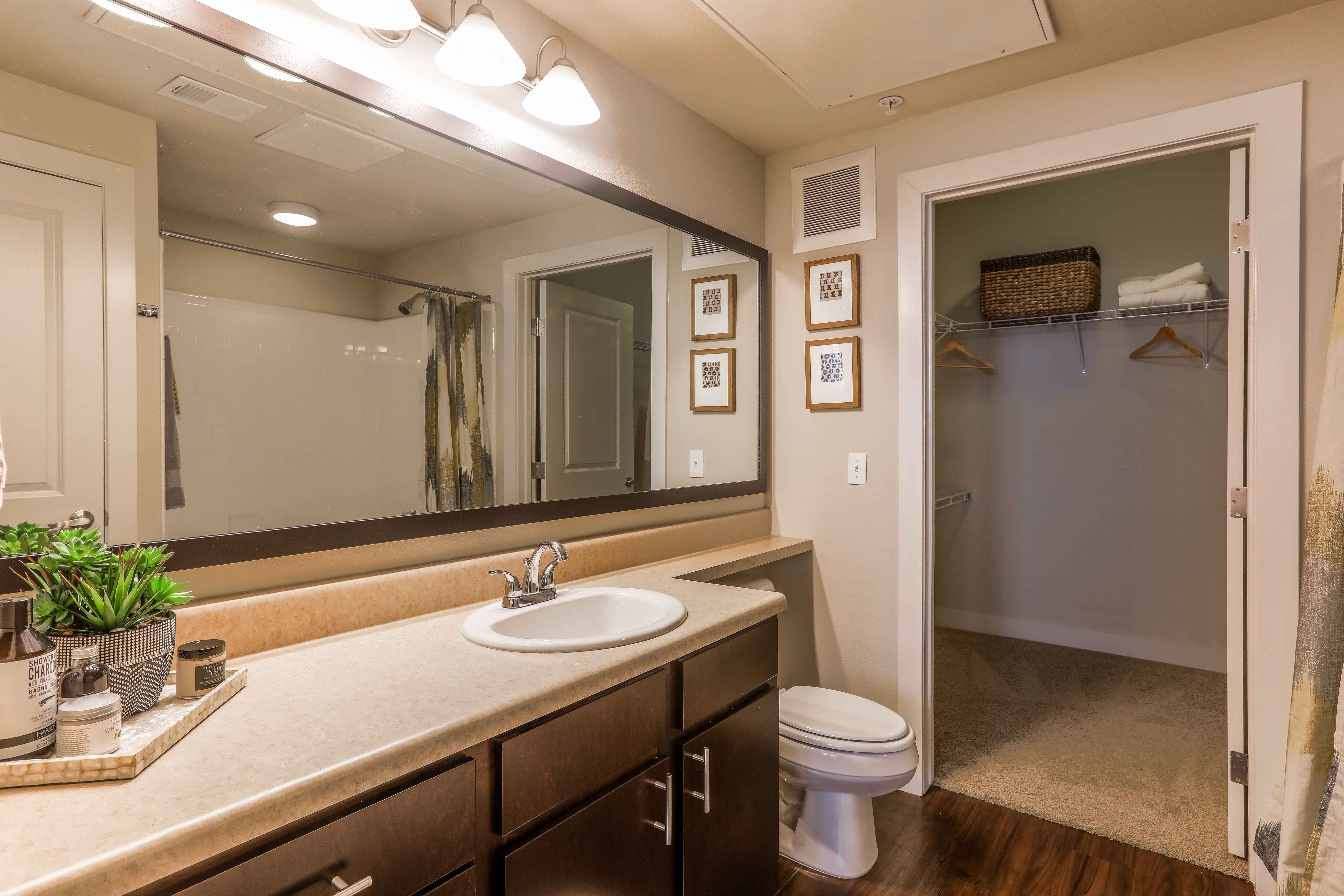 a bathroom with a sink and a mirror and a toilet