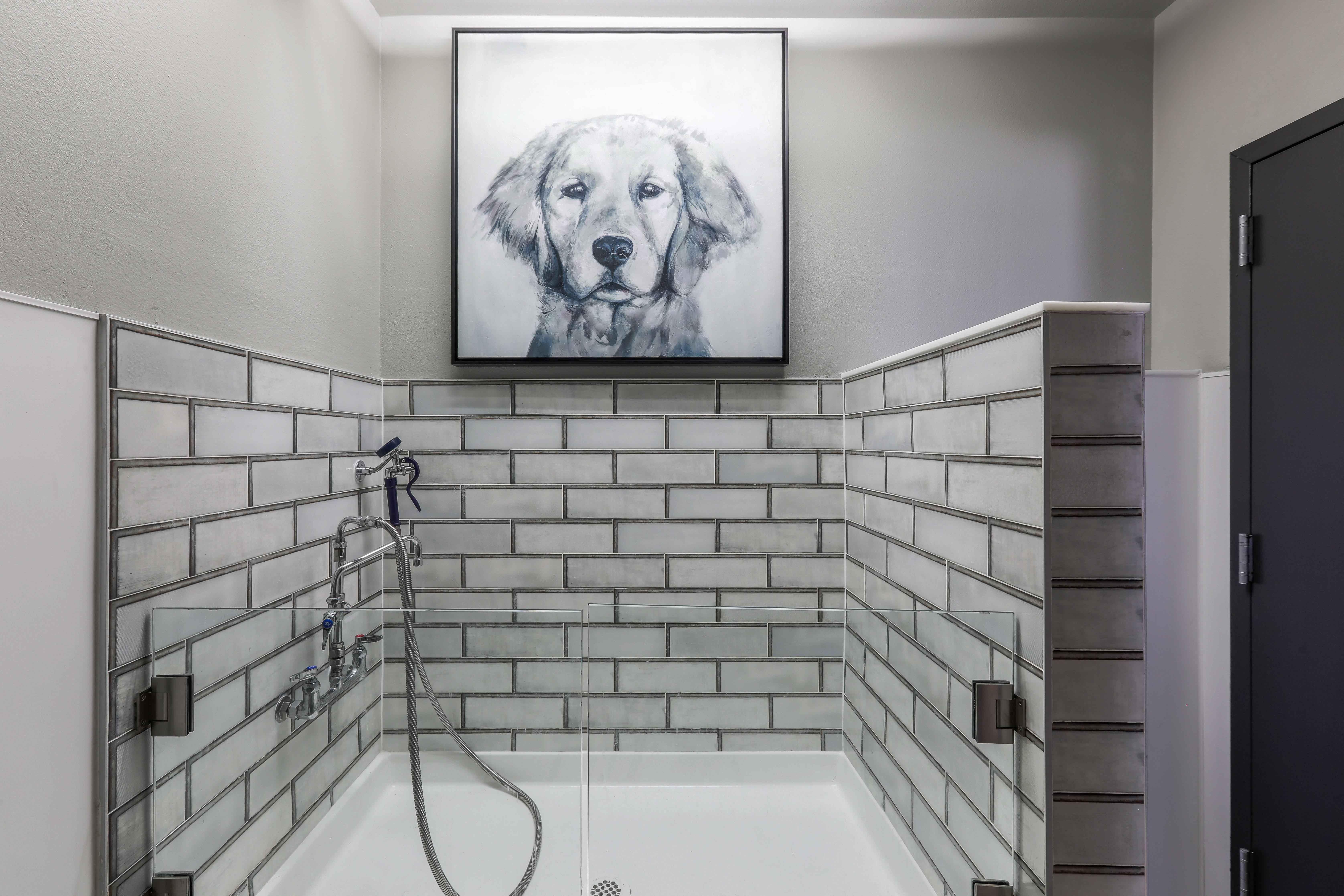 a bathroom with a shower and a painting of a dog