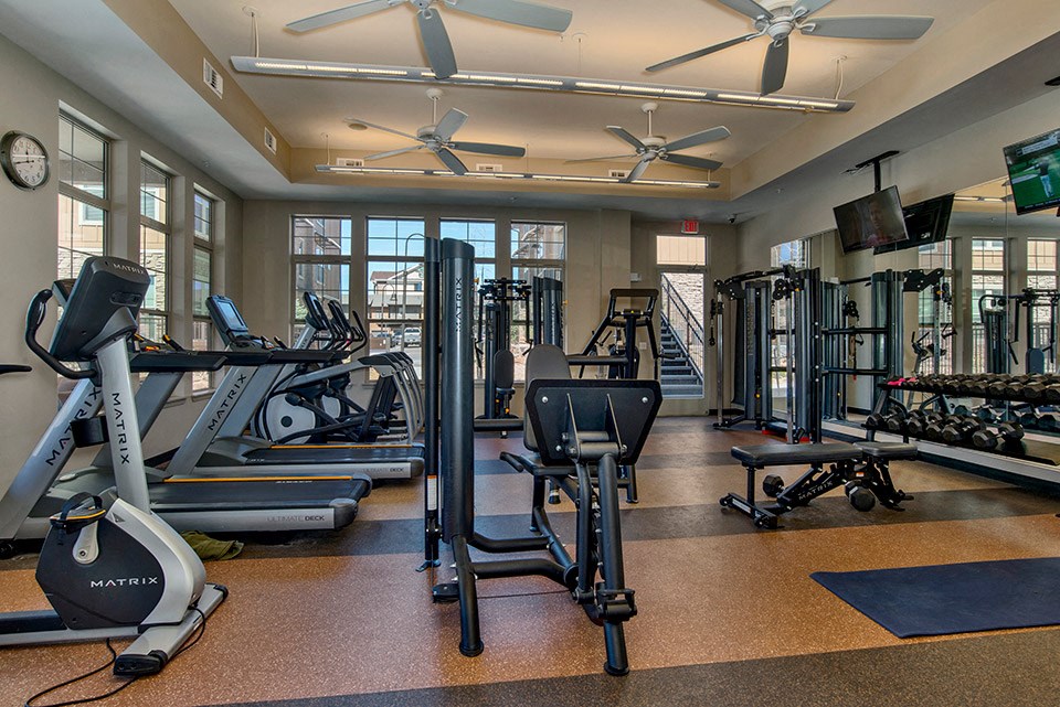 A gym with a variety of equipment including treadmills, weights, and a bench press.