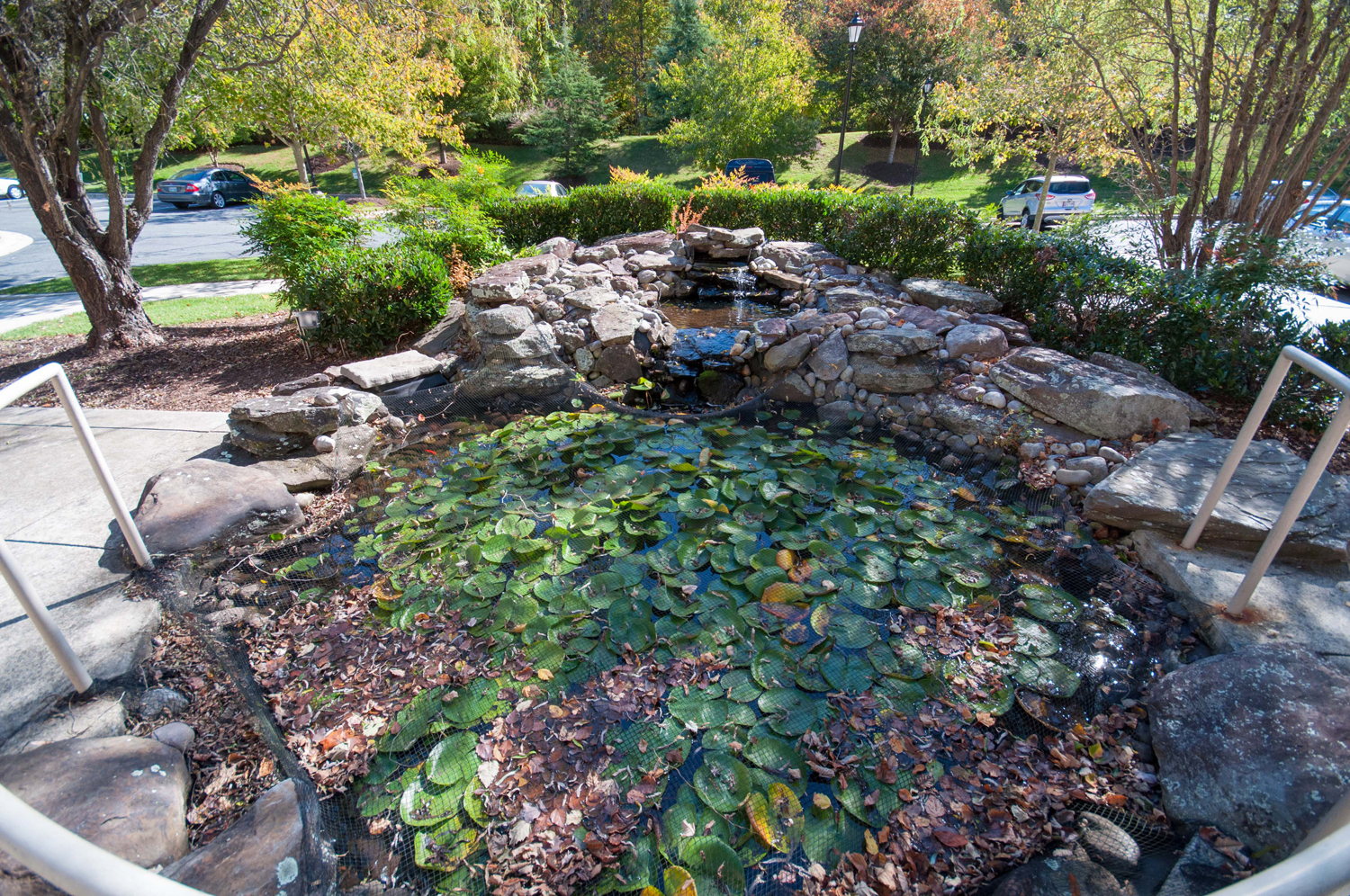 Victory Terrace Senior Apartments Coy Pond