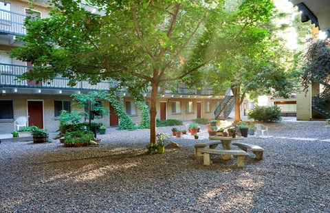a courtyard with trees and a table and benches