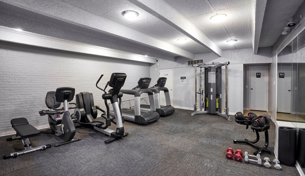 the gym is equipped with cardio equipment and weights