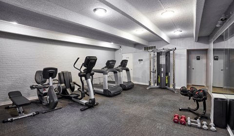 the gym is equipped with cardio equipment and weights