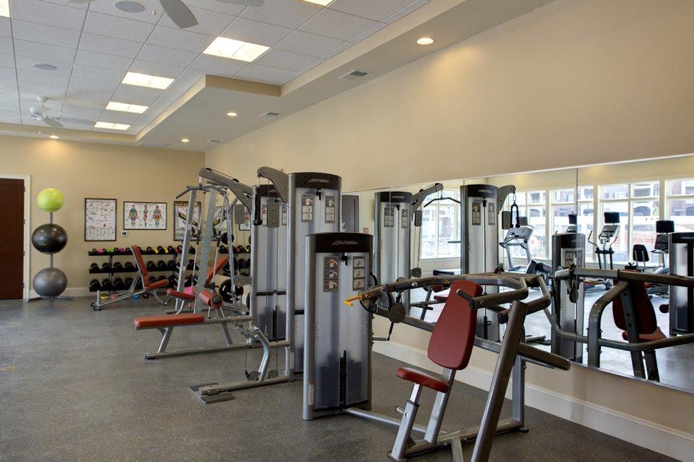 a gym with a lot of exercise equipment in it