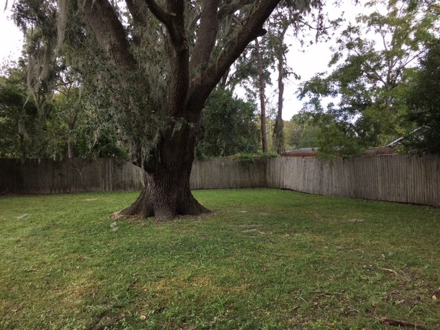 a backyard with a tree and a fence