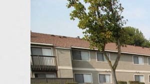 BBQ and Playground Oak Park | Turlock| BBQ and Playground