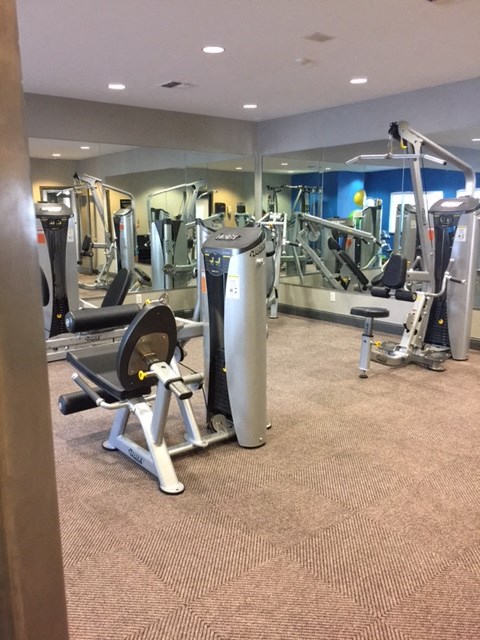 a gym with cardio machines and weights in a hotel gym