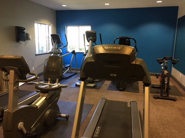 a gym with treadmills and other exercise equipment