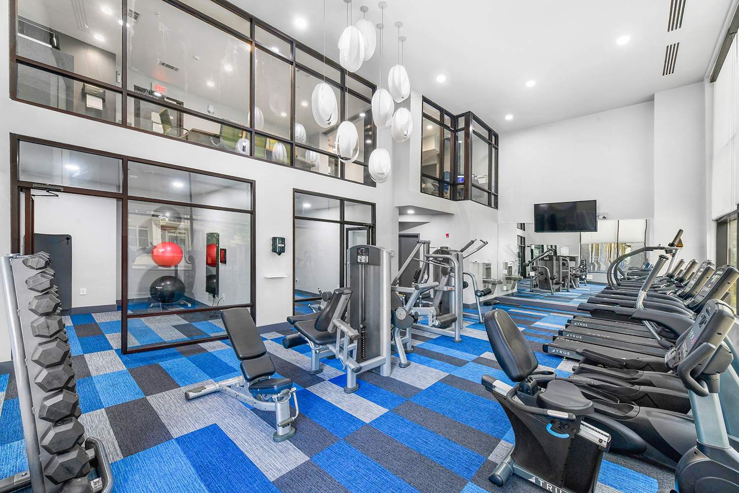 a gym with cardio equipment and weights on a blue and white floor