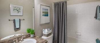 2400 Barrett Creek Boulevard 1-3 Beds Apartment for Rent - Photo Gallery 11