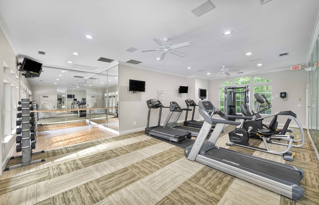 the gym is equipped with treadmills and other cardio equipment