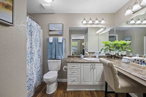A bathroom with a toilet, sink, and mirror.