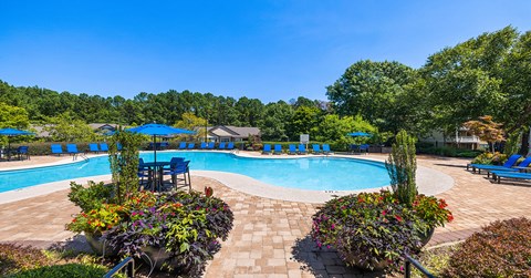 A large outdoor swimming pool surrounded by blue loungers and greenery.