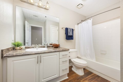 a bathroom with a sink toilet and a mirror