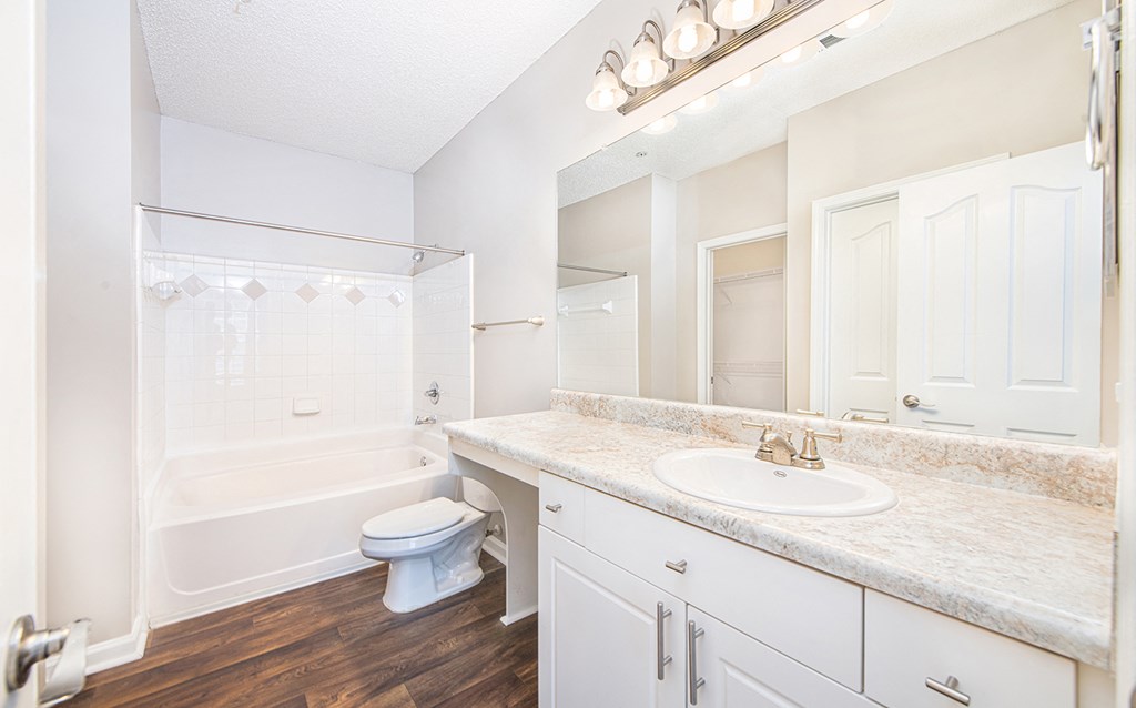 a bathroom with a shower toilet and sink and a mirror