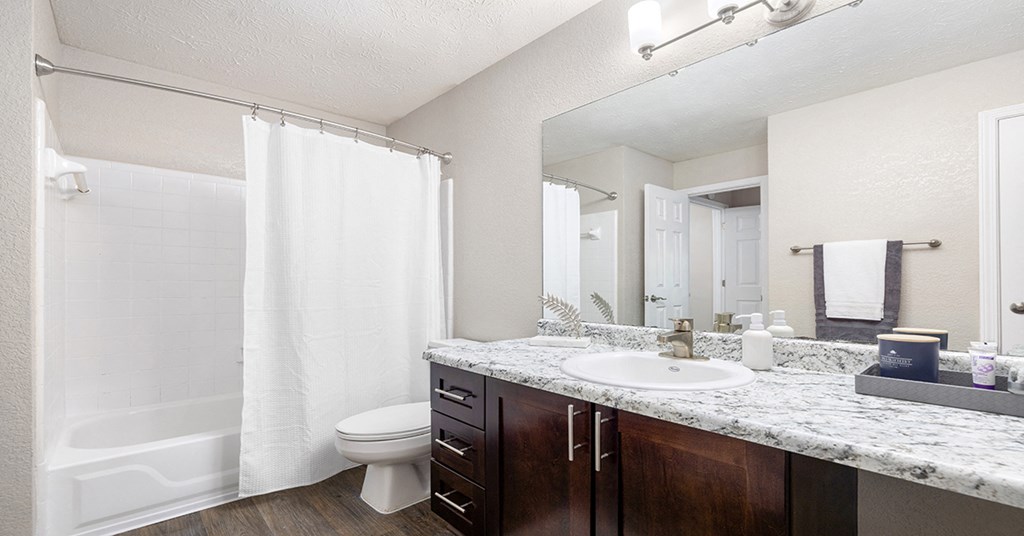 a bathroom with a sink and a toilet and a shower