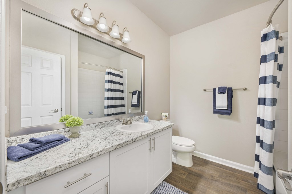 a bathroom with a large mirror and a sink and a toilet