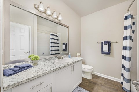 a bathroom with a large mirror and a sink and a toilet