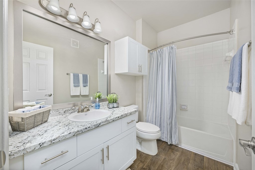 a bathroom with a sink and a toilet and a shower