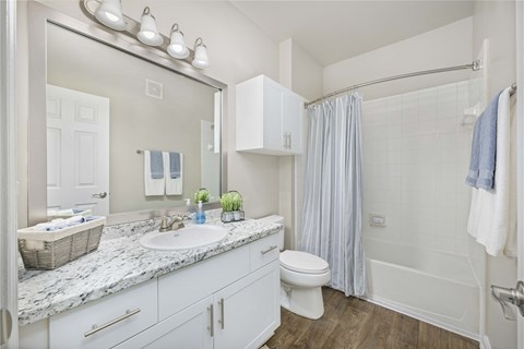 a bathroom with a sink and a toilet and a shower